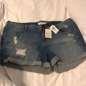 Plus Size Jean Shorts
